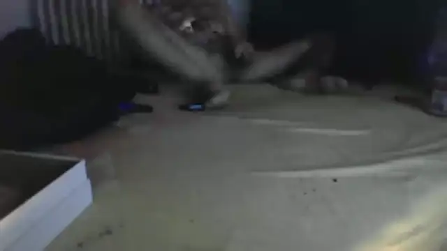 Snapshot of Damn_bro23 chatting on 01-31-26, 08:51 Damn bro23 online show from 01-31-26, 08:51