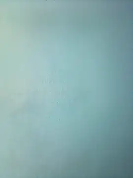 randit7 online show from 03-12-25, 11:54