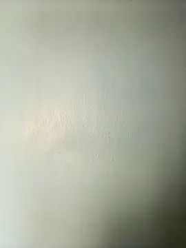 randit7 online show from 03-20-25, 03:34