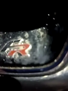 petxxl online show from 12-01-25, 03:51