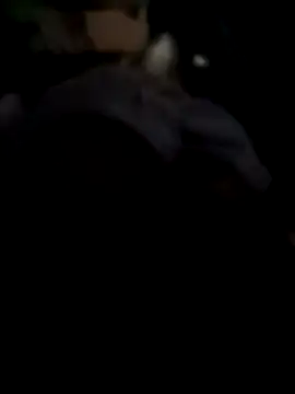 Sbu gold online show from 12-04-25, 11:04