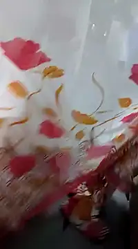 laxmitelugu78 online show from 02-04-25, 01:59