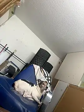 sexyhotstud12 online show from 01-24-25, 06:25