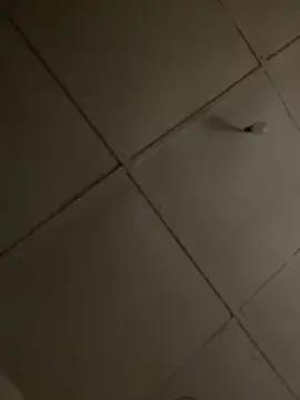 Boneca25 online show from 11-16-25, 06:12