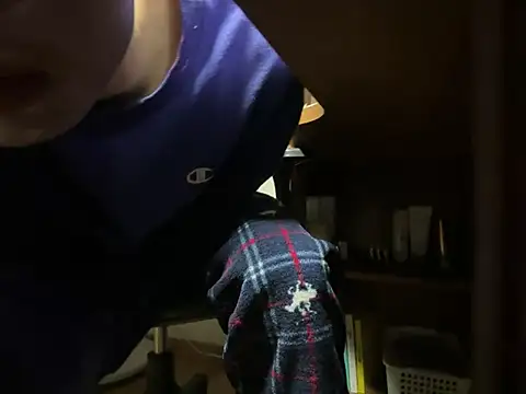 Phil 6677 online show from 04-04-26, 03:18