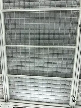 justeqqun online show from 10-01-25, 10:09