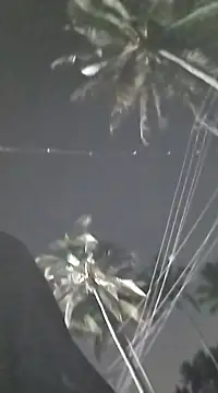 Brahmin munda online show from 01-28-25, 04:19