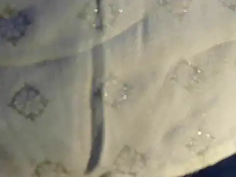 Snapshot of Cutie_Pie1p chatting on 03-19-25, 08:45 Cutie Pie1p online show from 03-19-25, 08:45