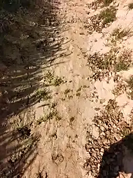 xmanrawan2 online show from 02-24-26, 05:08