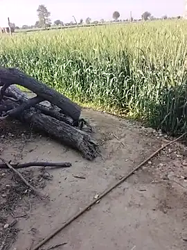 xmanrawan2 online show from 02-23-26, 05:09