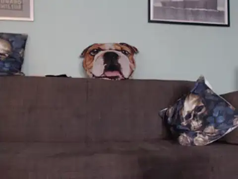 Astrid-Gilbert online show from 02-05-25, 11:12