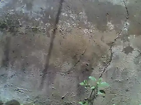 nee2526 online show from 03-05-26, 10:01