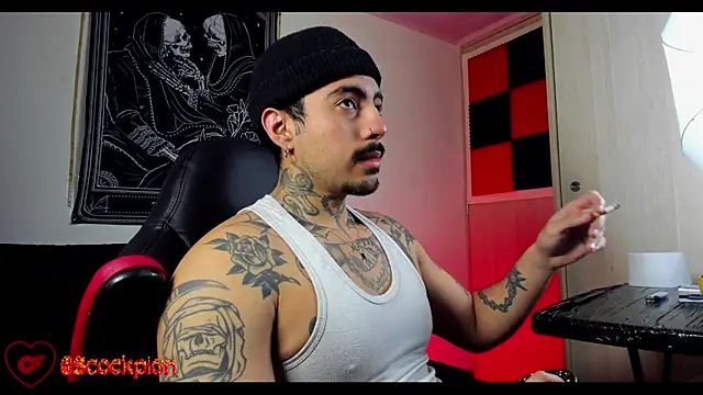 scockpion   online show from 02-18-26, 08:33