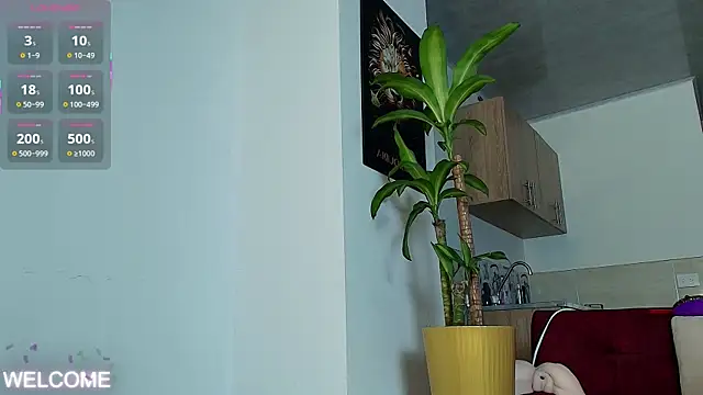 Dwayne Brown online show from 04-03-26, 07:31