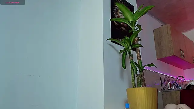 Dwayne Brown online show from 03-08-26, 06:33