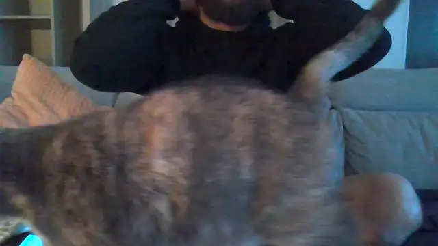 Zer oki online show from 01-07-26, 03:17