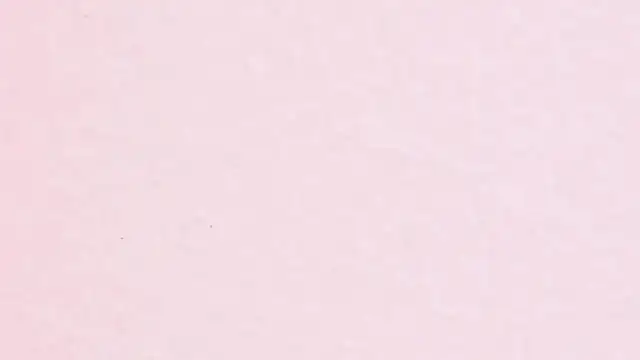 JhoanLeandro online show from 04-11-26, 04:20