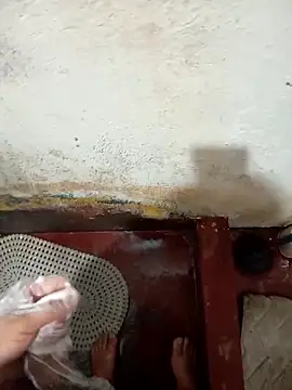 HotC1991 online show from 04-22-26, 09:54