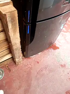 HotC1991 online show from 01-12-26, 03:19