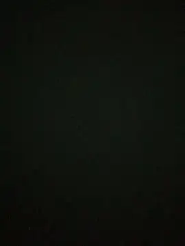 PINO pino 01 online show from 06-27-26, 05:41