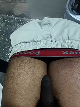 omni 333 online show from 02-11-26, 12:38