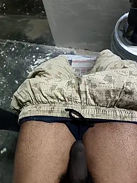 omni 333 online show from 02-02-26, 11:04