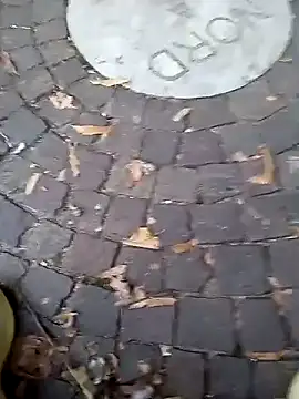 dominationmybigdick online show from 09-19-25, 05:06