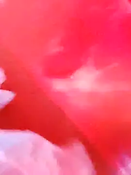 dominationmybigdick online show from 12-03-25, 09:53