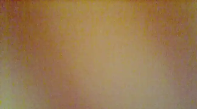 Snapshot of tseveline chatting on 02-04-25, 01:56 tseveline online show from 02-04-25, 01:56