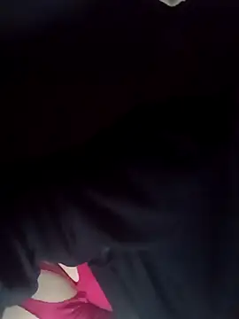 Snapshot of ginger_1_1 chatting on 02-16-25, 04:09 ginger 1 1 online show from 02-16-25, 04:09