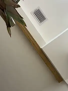 Bicho13132 online show from 10-05-25, 06:26