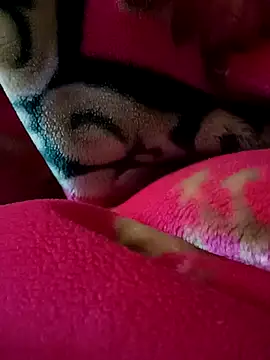 Arabian online show from 02-27-25, 09:14