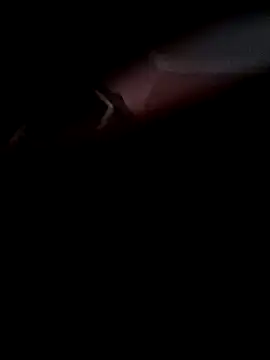 Arabian online show from 11-08-25, 10:08