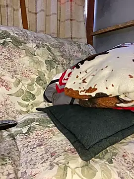 blondiebbc online show from 04-01-26, 01:34