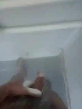 bigcockturk3 online show from 02-12-25, 07:13