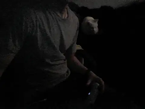 MarioKnero online show from 02-26-26, 09:53