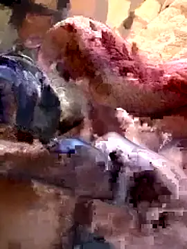 Snapshot of 26menny74 chatting on 11-07-25, 12:15 26menny74 online show from 11-07-25, 12:15