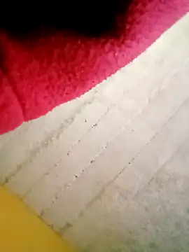 Snapshot of 26menny74 chatting on 12-16-25, 03:16 26menny74 online show from 12-16-25, 03:16