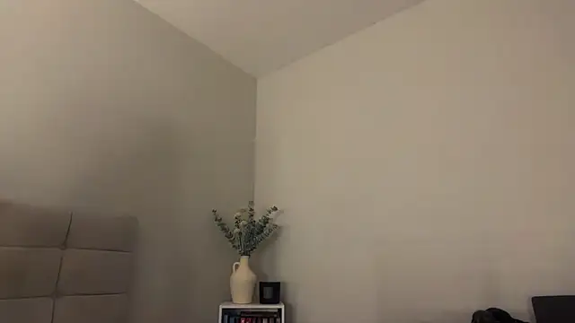 skyejde online show from 04-05-26, 09:43