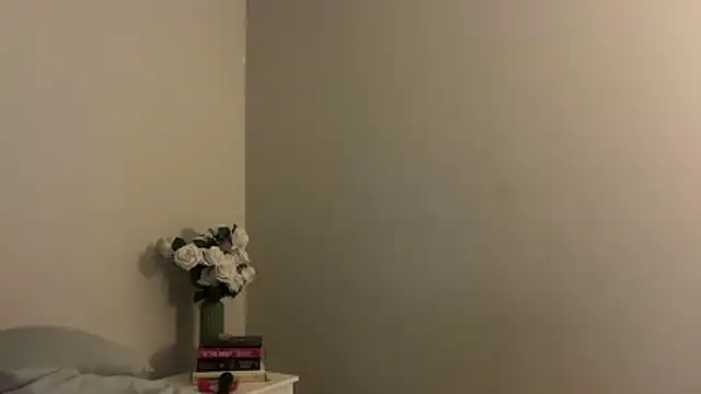 skyejde online show from 11-28-25, 04:29