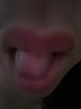 daianaspencer online show from 04-13-26, 06:06