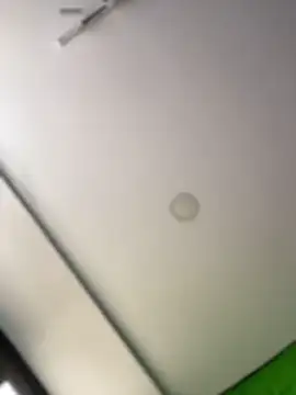 Snapshot of Dulce__Boyd chatting on 02-11-26, 02:39 Dulce Boyd online show from 02-11-26, 02:39