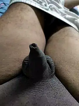 Snapshot of Tamil_small_cock chatting on 10-06-25, 06:03 Tamil small cock online show from 10-06-25, 06:03