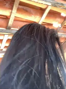 casalshowtime2 online show from 10-31-25, 11:51