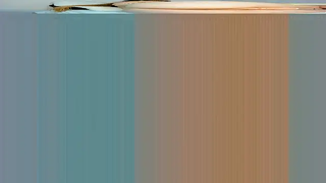 Snapshot of rouss_witt chatting on 03-07-25, 11:27 rouss witt online show from 03-07-25, 11:27