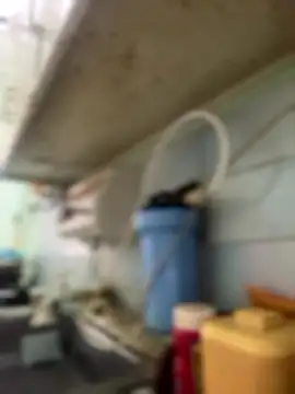 Carola-Ross online show from 01-06-26, 04:33