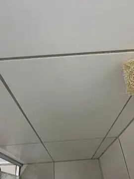 MateusBH123 online show from 01-13-26, 02:37