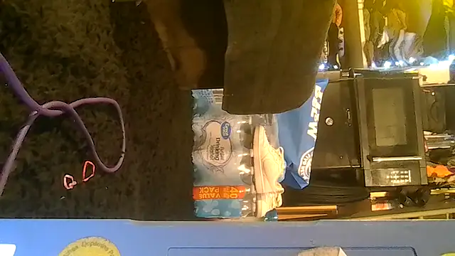 ShysluutGia online show from 02-04-26, 07:47