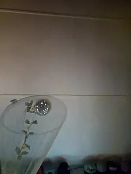 Snapshot of ShysluutGia chatting on 09-25-25, 06:14 ShysluutGia online show from 09-25-25, 06:14