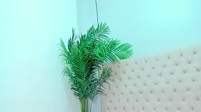 Andrea Tobar online show from 02-12-25, 07:35